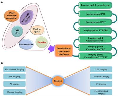 Bio-Inspired Protein-Based Nanoformulations for Cancer Theranostics